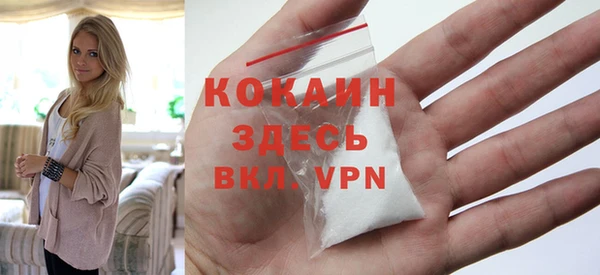 дживик Чегем